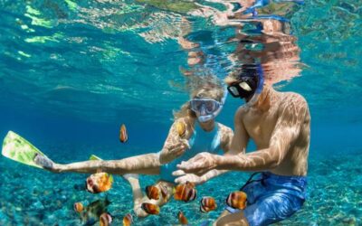 A Homeschool Week in Panama City Beach: 7 Days of Learning and Fun