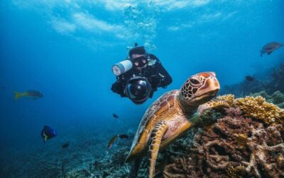 Where to Go Snorkeling in Panama City Beach