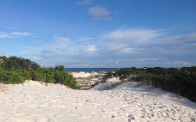 Winter in Panama City Beach: What to Expect