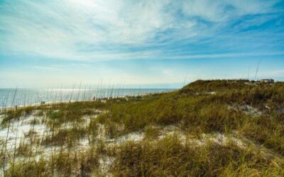 West Bay, FL: Fishing, Boating, & Other Things to Do