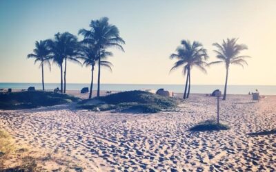 Summer in Panama City Beach: What to Expect (2026)