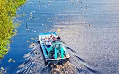 Airboat Rides Near Panama City Beach (West Bay & Beyond)