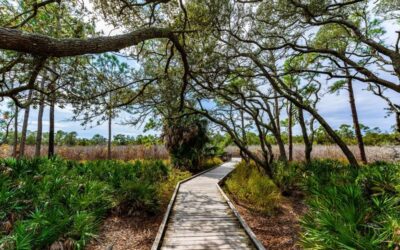 Fall in Panama City Beach: What to Expect (2026)